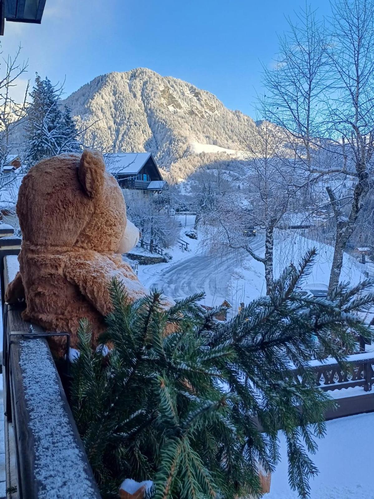 Chalet Appart'Hotel L'Eau Vive Saint-Nicolas-la-Chapelle  Eksteriør billede